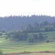 Terraced landscape near Ulrichsberg
