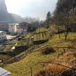 Cultivated terracements in Veneto